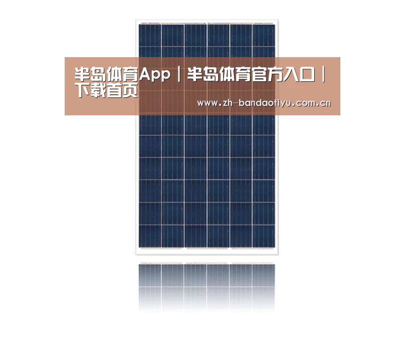 产品名称一