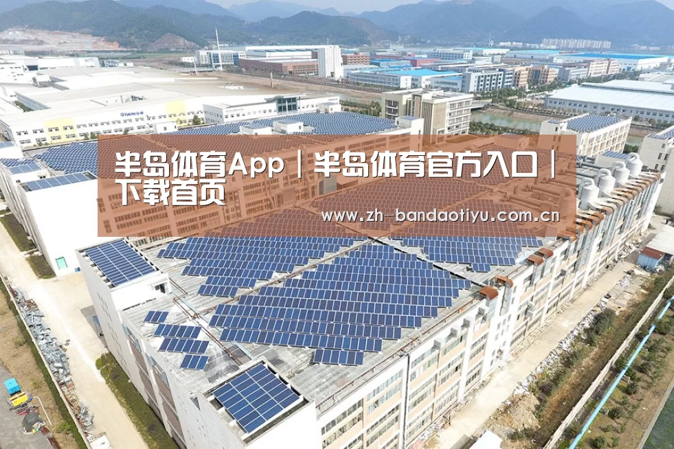 案例展示四