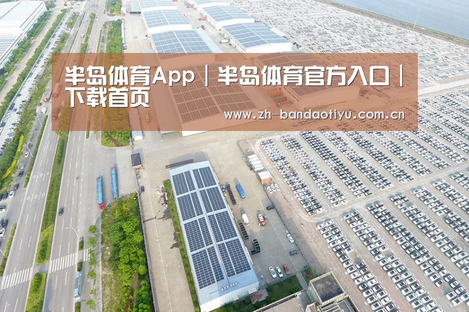 案例展示四