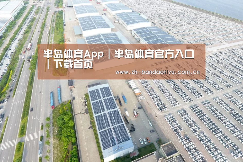 案例展示二