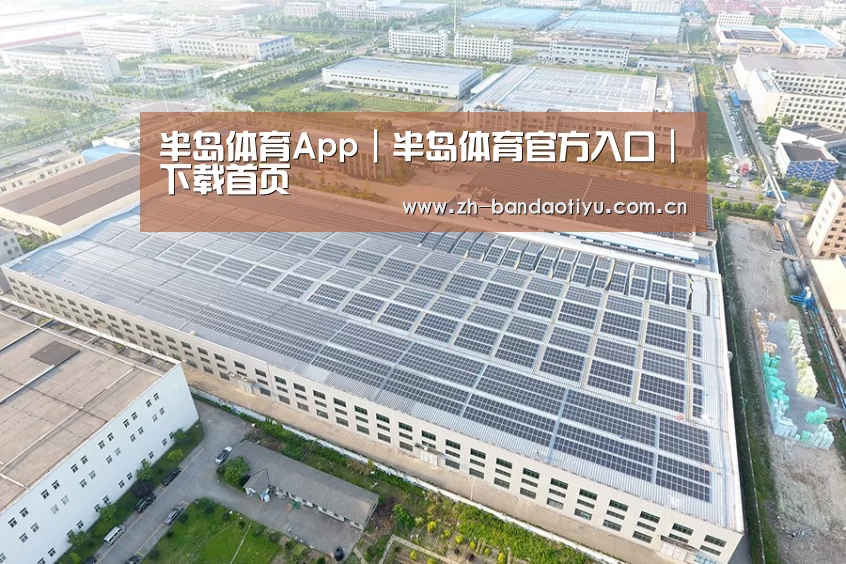 案例展示四