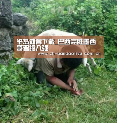 半岛体育下载_巴西完胜墨西哥晋级八强(图1) 半岛体育官网