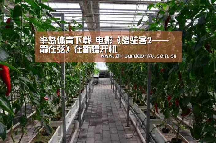 半岛体育下载_电影《骆驼客2——箭在弦》在新疆开机(图1) 半岛体育网址