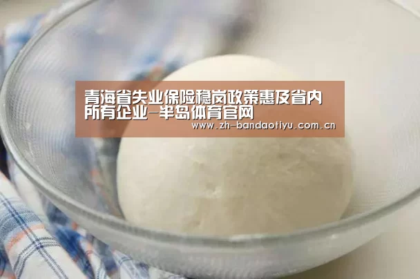 青海省失业保险稳岗政策惠及省内所有企业-半岛体育官网(图2) 青海省失业保险稳岗政策惠及省内所有企业-半岛体育官网(图2)