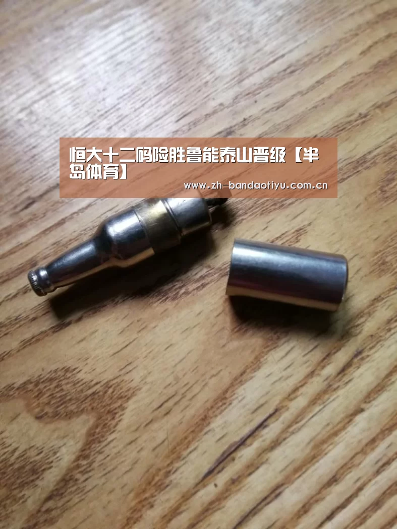 恒大十二码险胜鲁能泰山晋级【半岛体育】(图1) 恒大十二码险胜鲁能泰山晋级【半岛体育】(图1)
