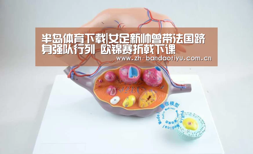 半岛体育
